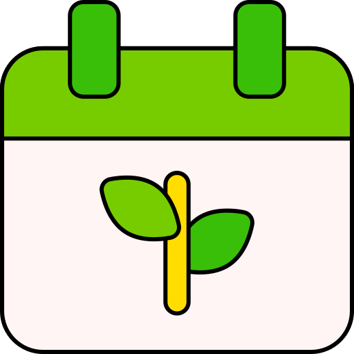 Year‑Round Plan