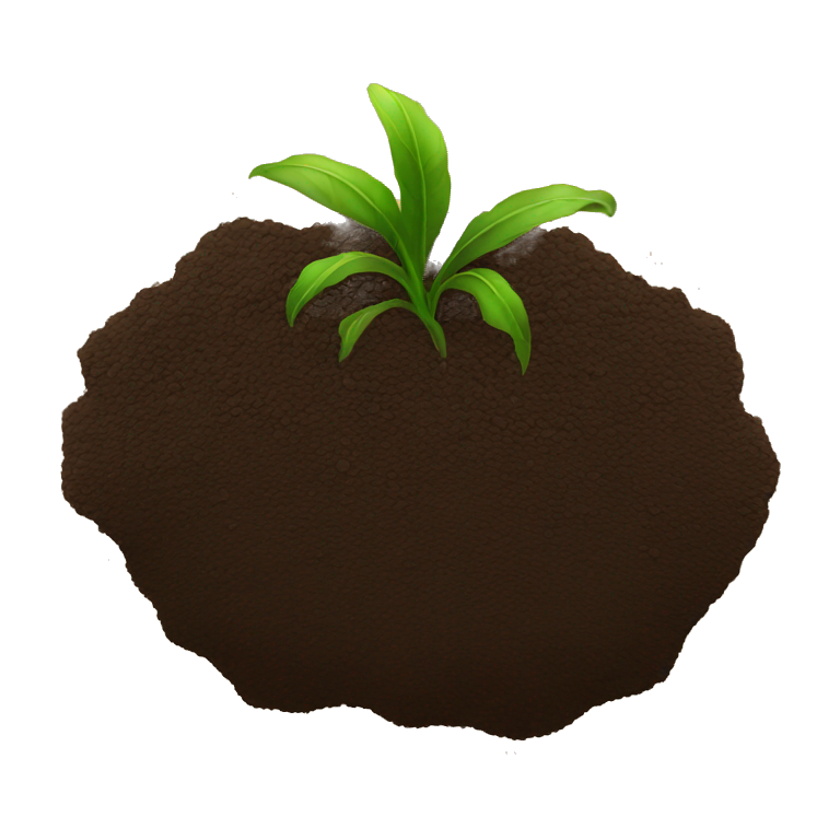 Soil